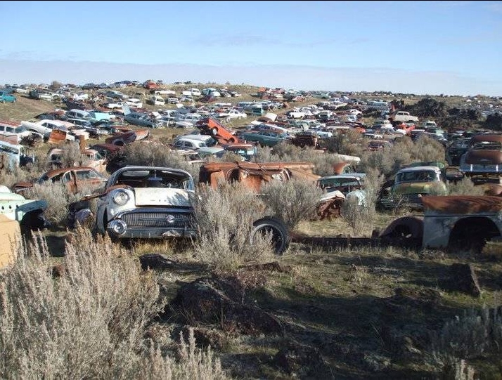 For Sale: 80-acre salvage yard with 8000 cars