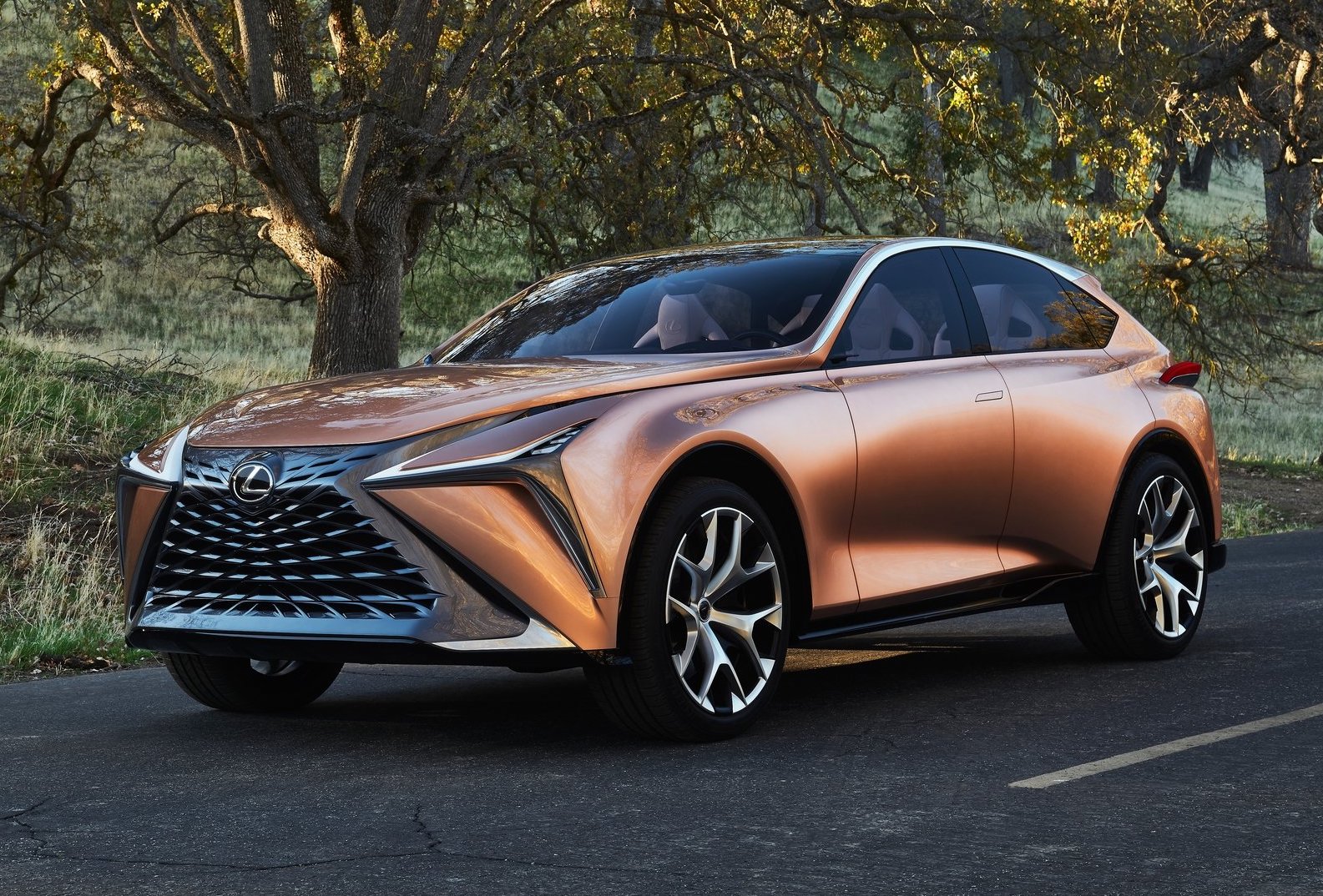 Lexus LF-1 Limitless concept hints at flagship crossover