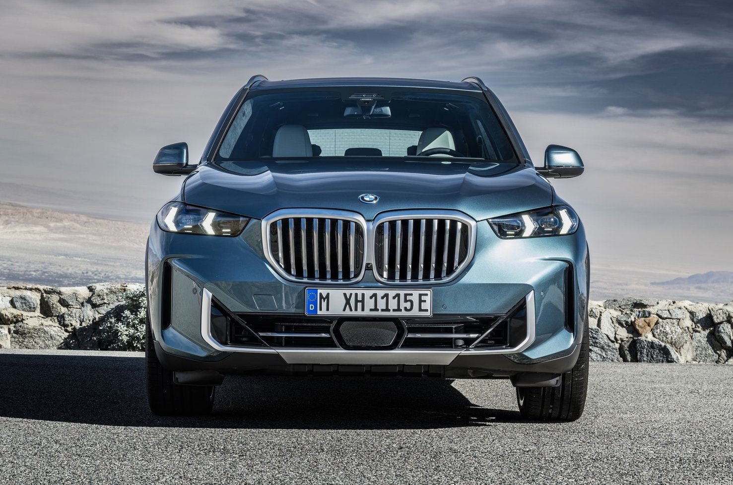 2024 BMW X5grille PerformanceDrive
